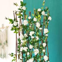 uploads/erp/collection/images/Home Garden/CongDing/XU0611877/img_b/XU0611877_img_b_1